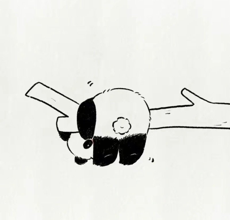 anime avatar ảnh gấu trúc cute chibi 35