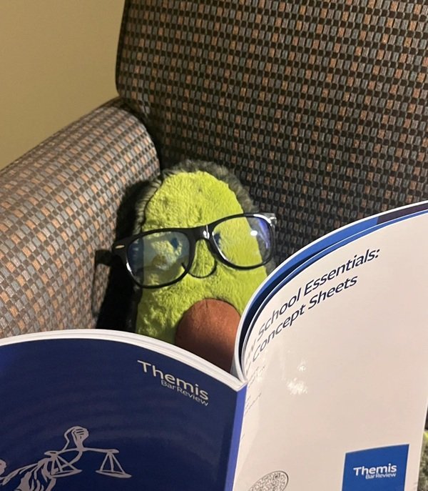 anime avatar quả bơ cute 35