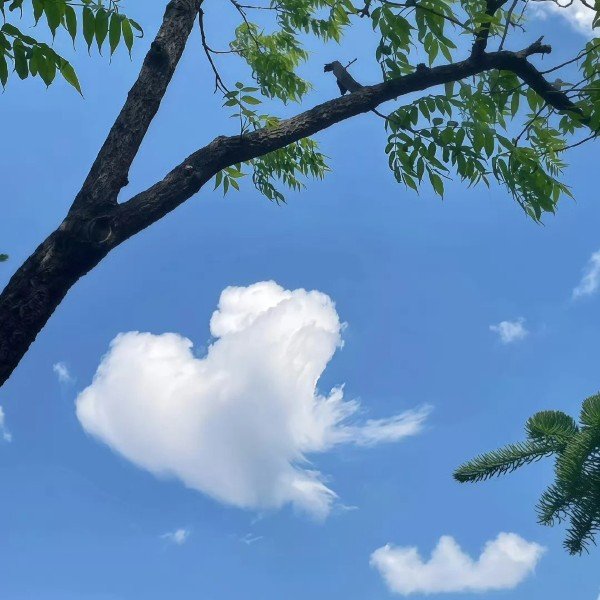 avatar ảnh bầu trời cute 2