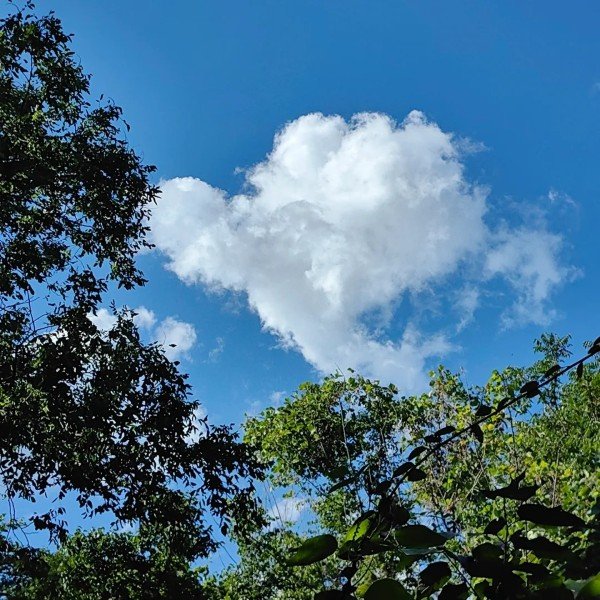 avatar ảnh bầu trời cute 39