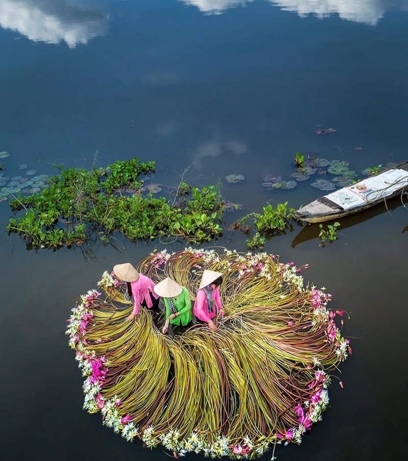 avatar ảnh việt nam cute 15