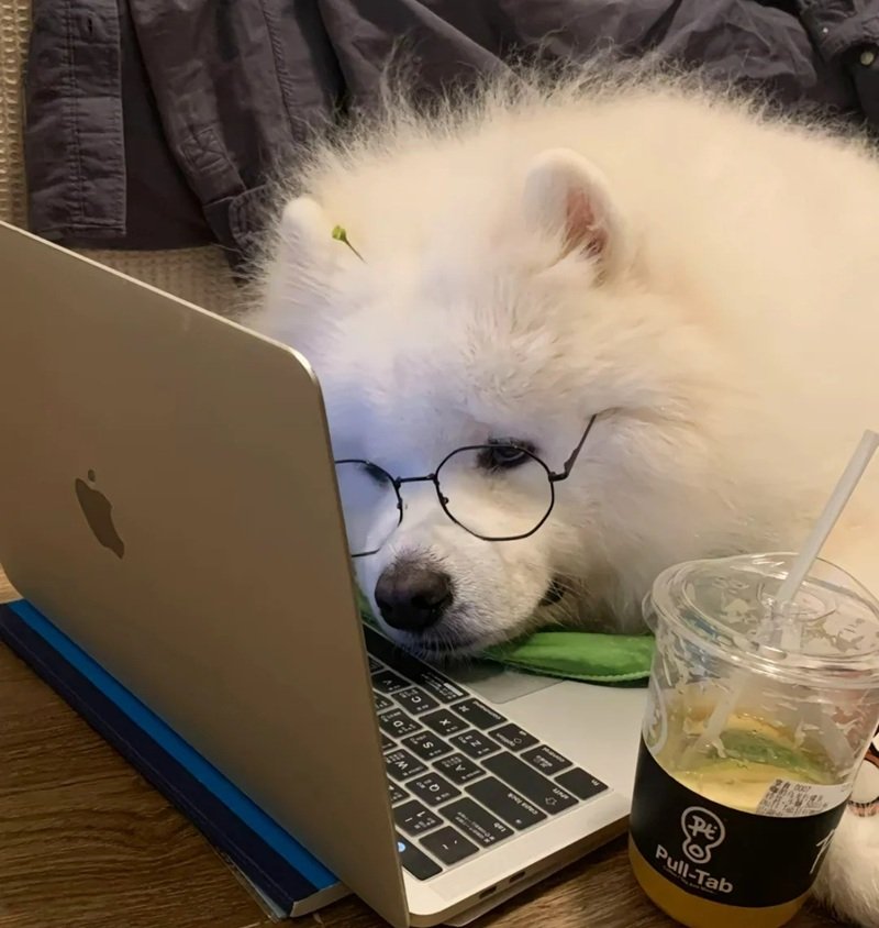 avatar buồn cute 29