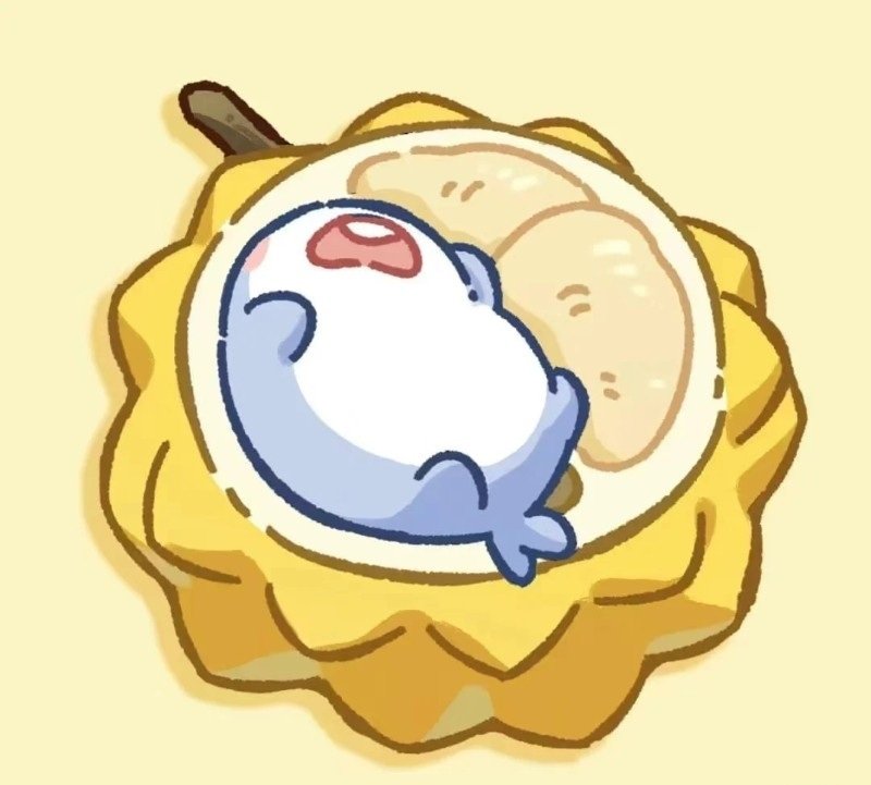 avatar cá mập cute 5