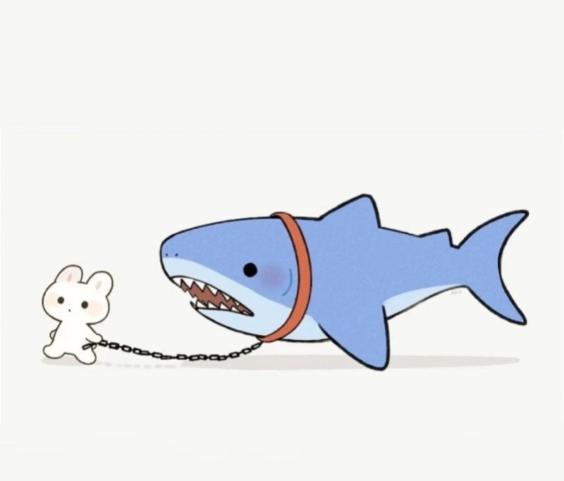 avatar cá mập đôi 11