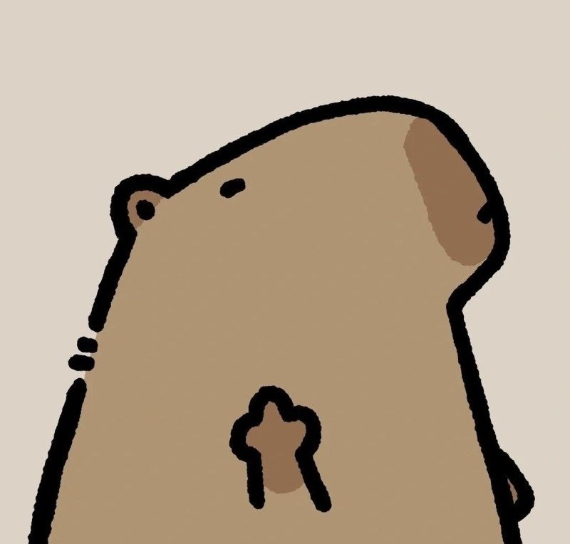 avatar capybara vô tri 11