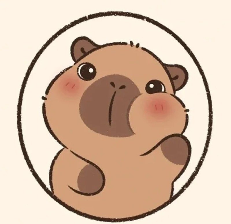 avatar capybara vô tri 21