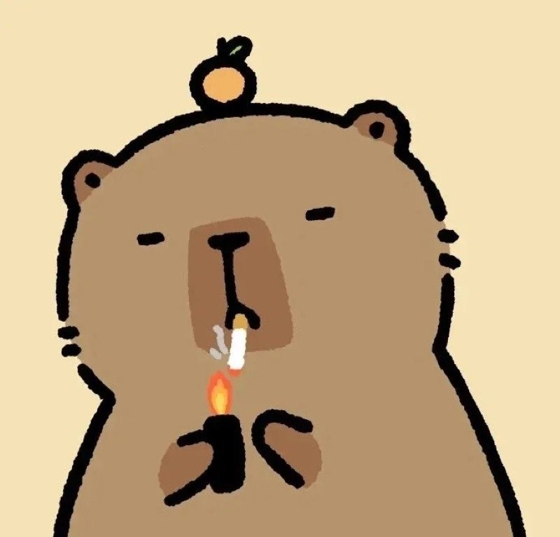 avatar capybara vô tri 9
