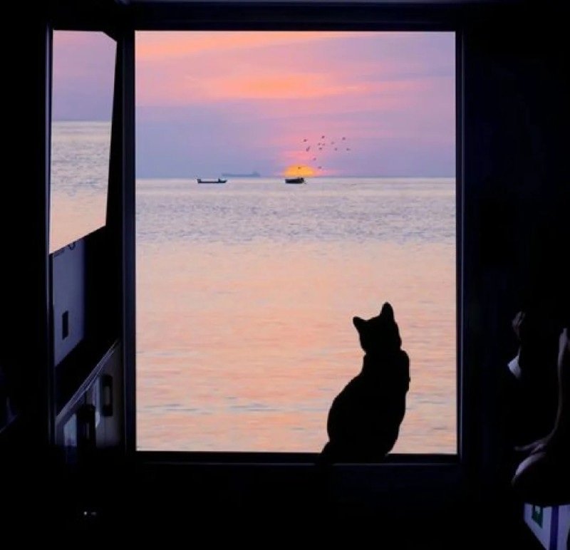 avatar chill buồn 4