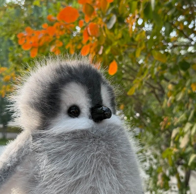 avatar chim cánh cụt cute 38