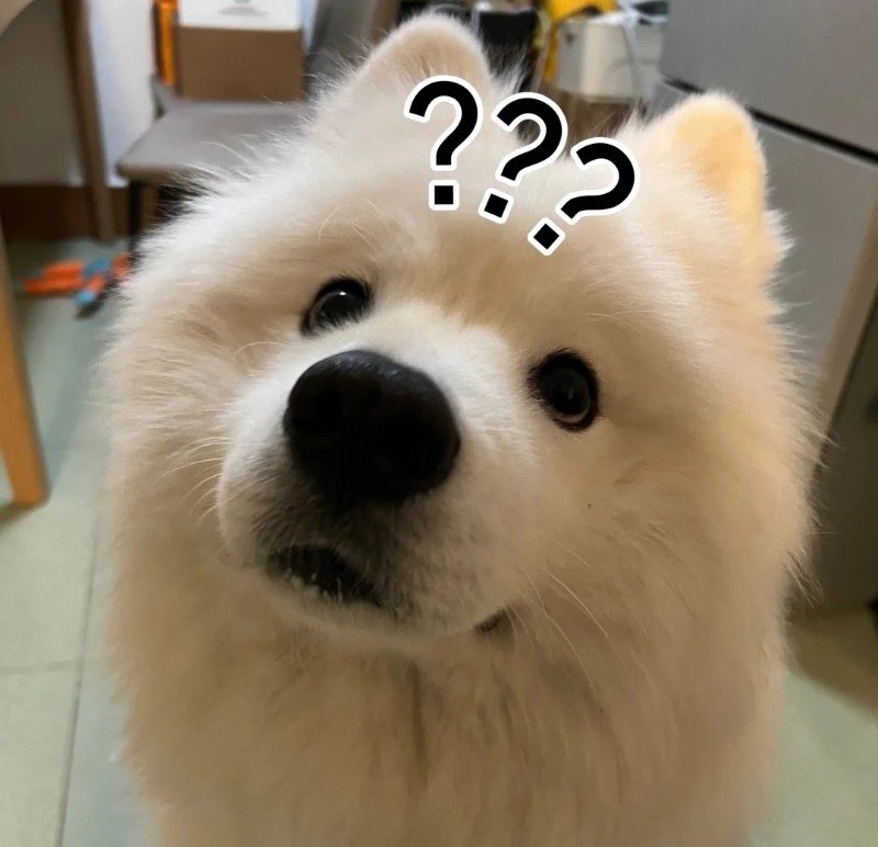 avatar chó vô tri 42