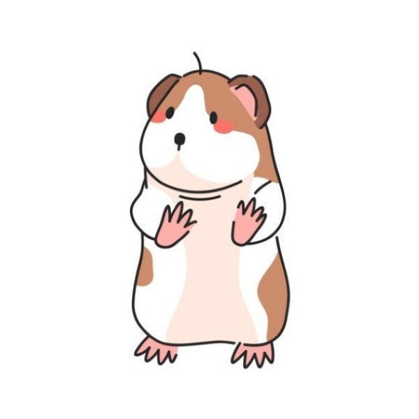 Vector Guinea pig or hamster illustration.