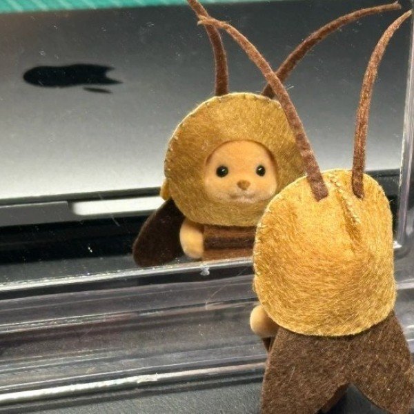 avatar con gián cute 14