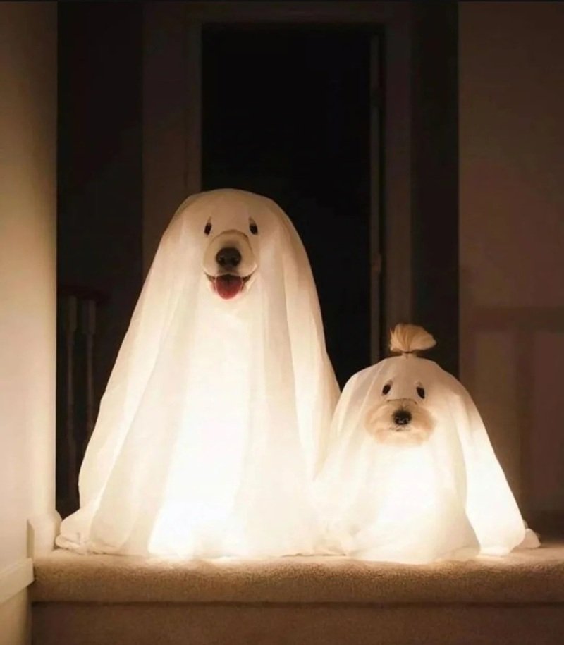 avatar con ma cute 20