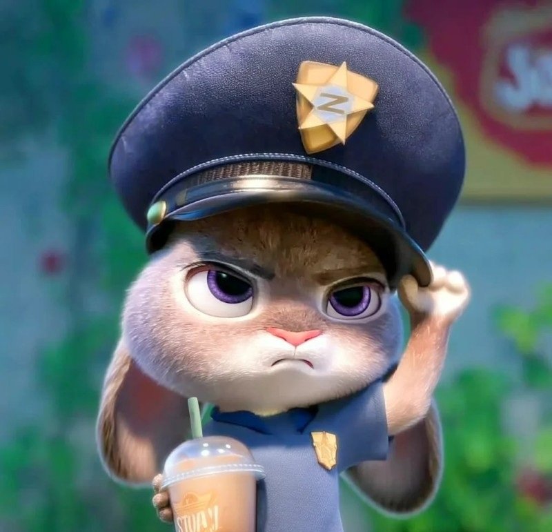 avatar con thỏ cute 23