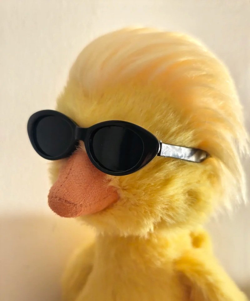 avatar con vịt ngầu 21