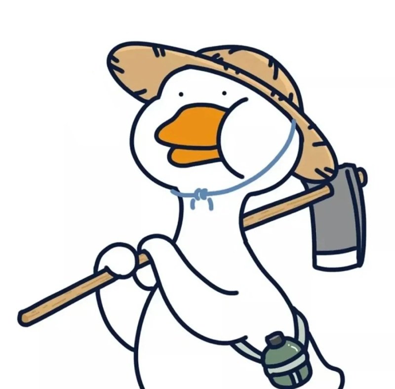 Tải ngay 99+ ảnh avatar con vịt ngầu đẹp, chất và cực cá tính - Hình ảnh bài viết