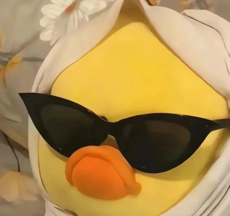 avatar con vịt ngầu 32