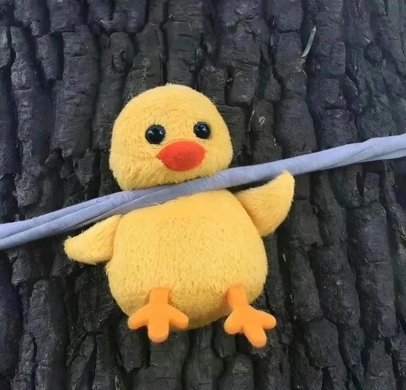 avatar cute vô tri 27