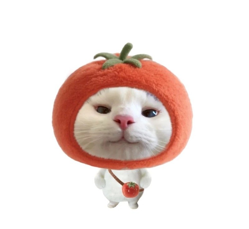 avatar cute vô tri 4