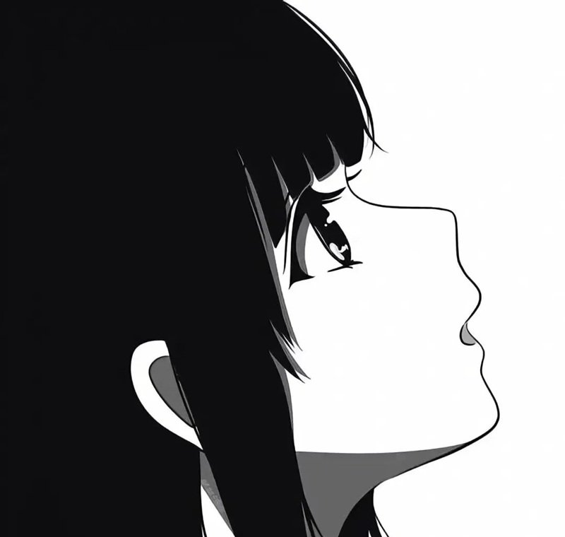 avatar đôi anime đen trắng 2