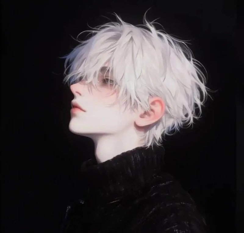 avatar đôi anime ngầu​ 15