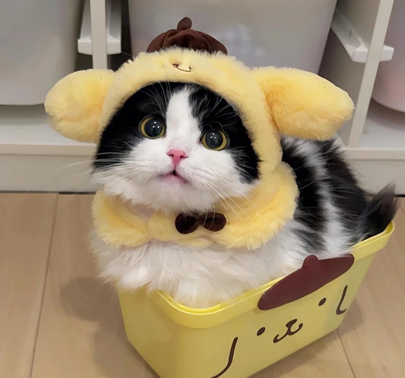 avatar đôi cho 2 người 5