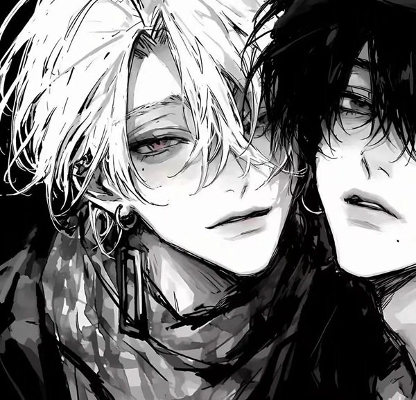 avatar đôi đam mỹ 17