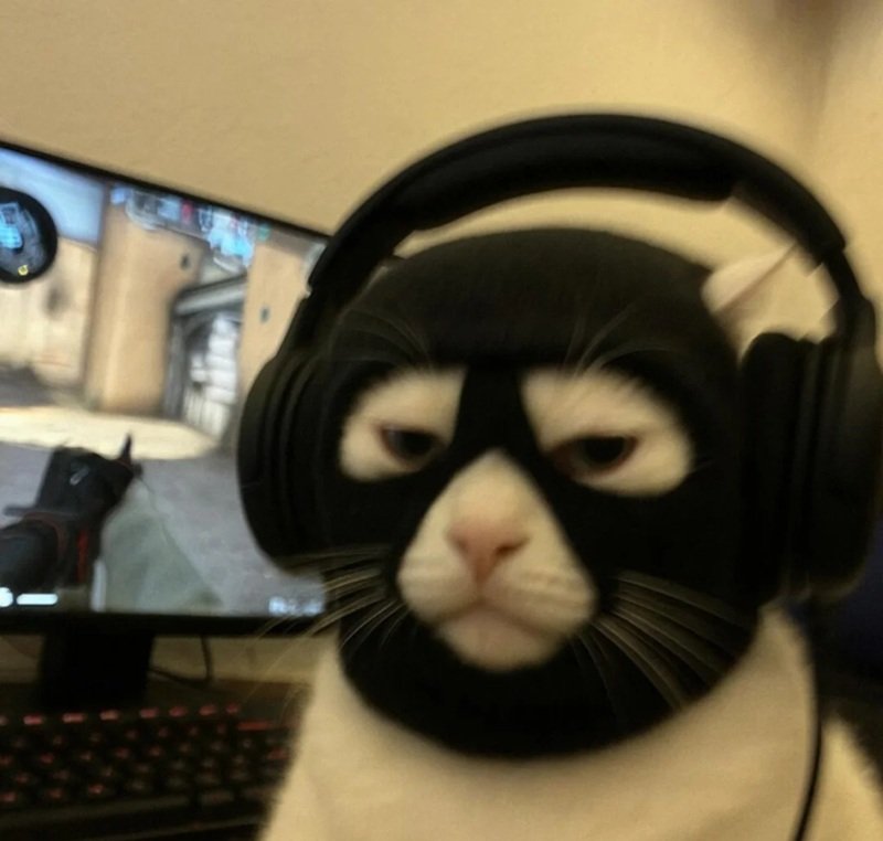 avatar đôi hài hước 27