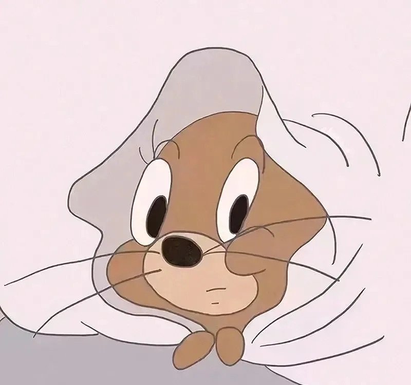 avatar đôi hoạt hình 10