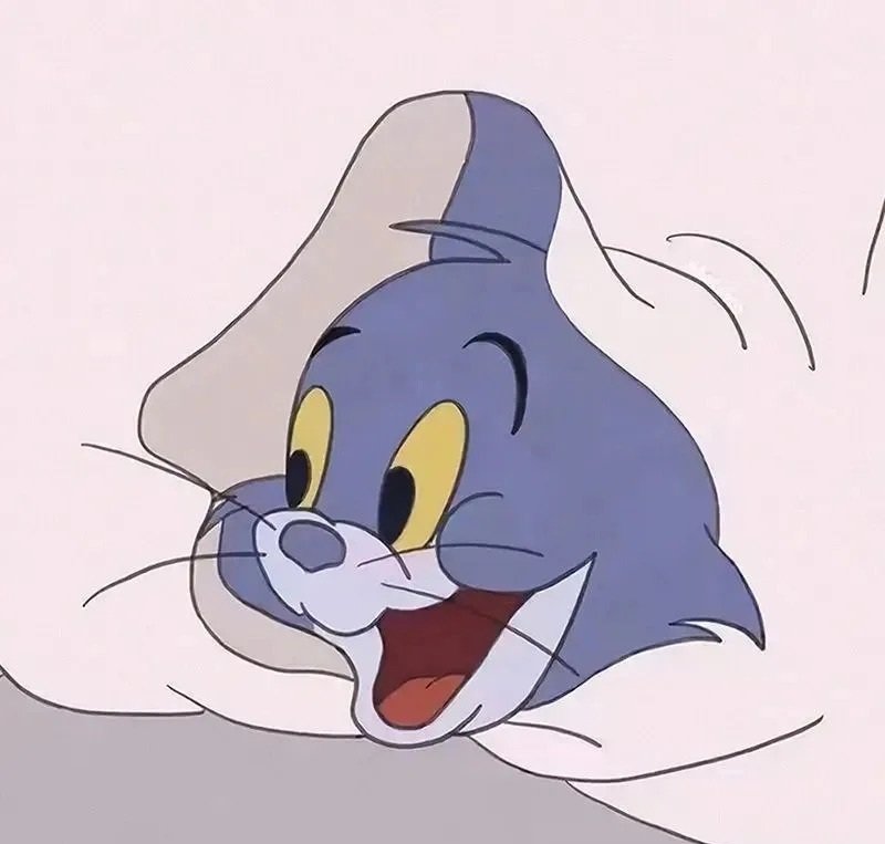 avatar đôi hoạt hình 11