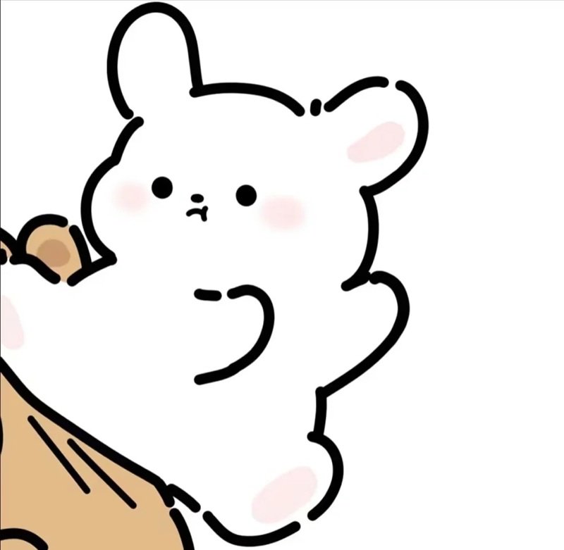 avatar đôi hoạt hình 13