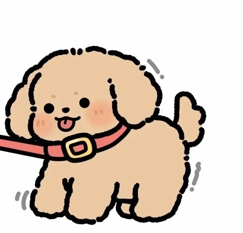 avatar đôi hoạt hình 15