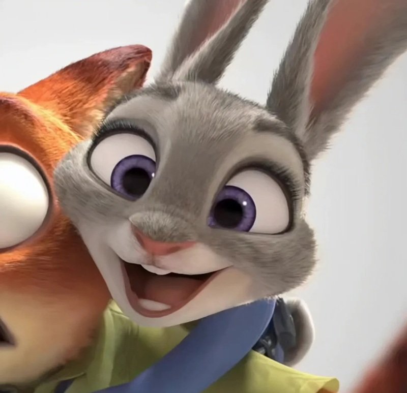 avatar đôi hoạt hình 19