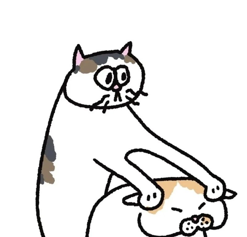 avatar đôi vô tri 33