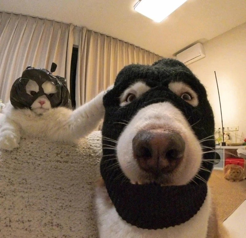 avatar đôi vô tri 7