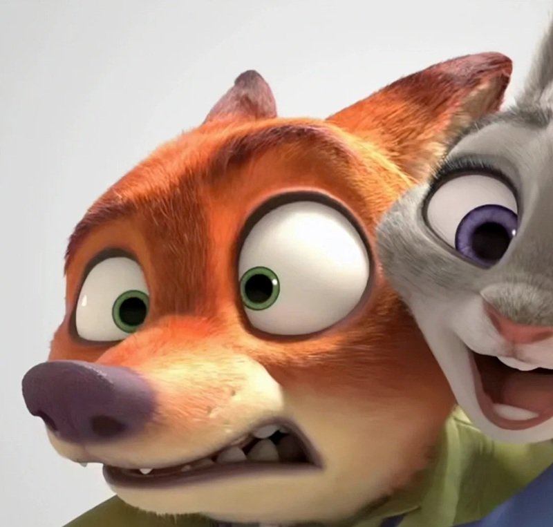 avatar đôi vs ny 19