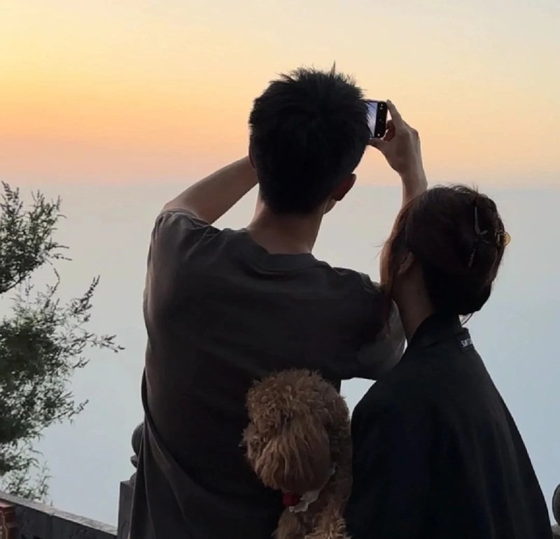 avatar đôi vs ny 26