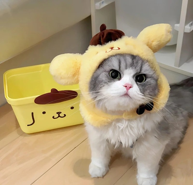 avatar đôi vs ny 3