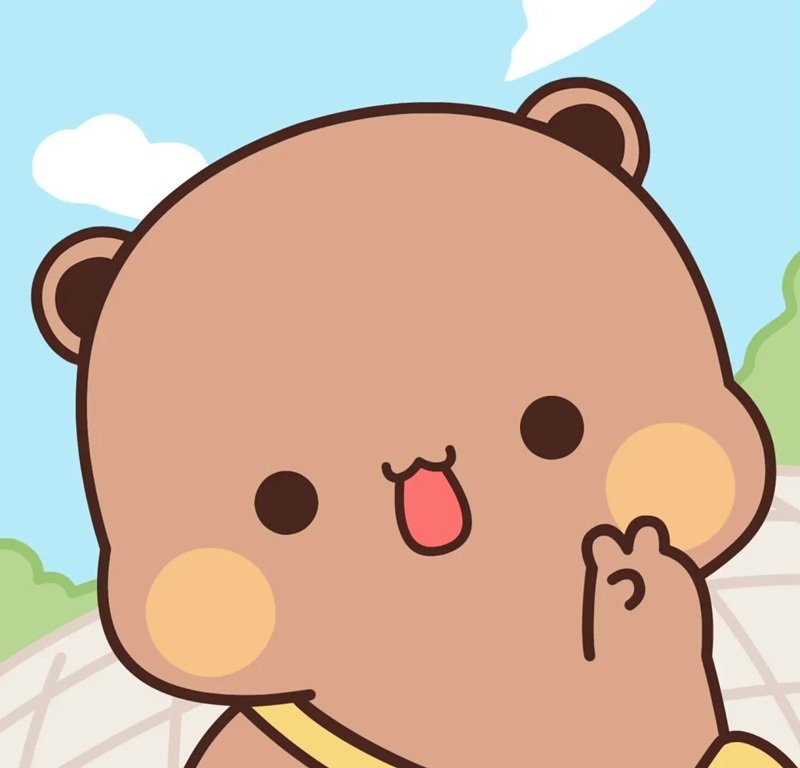 avatar gấu cute 24
