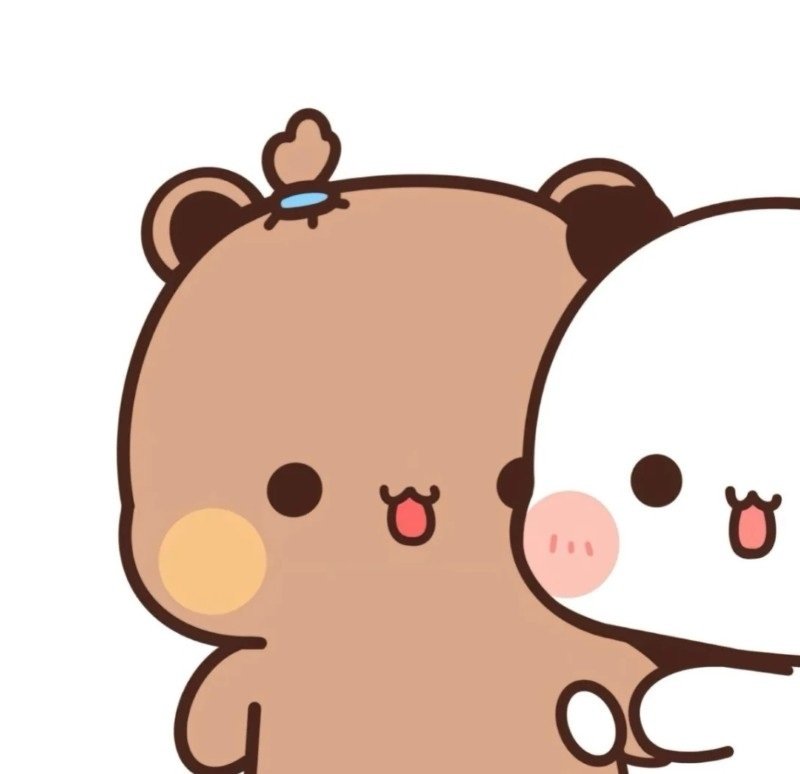 avatar gấu cute đôi 11