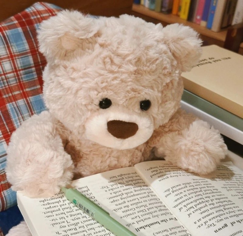 avatar gấu cute đôi 13