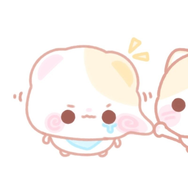 avatar gấu cute đôi 3