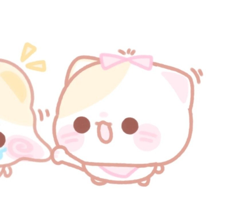 avatar gấu cute đôi 4