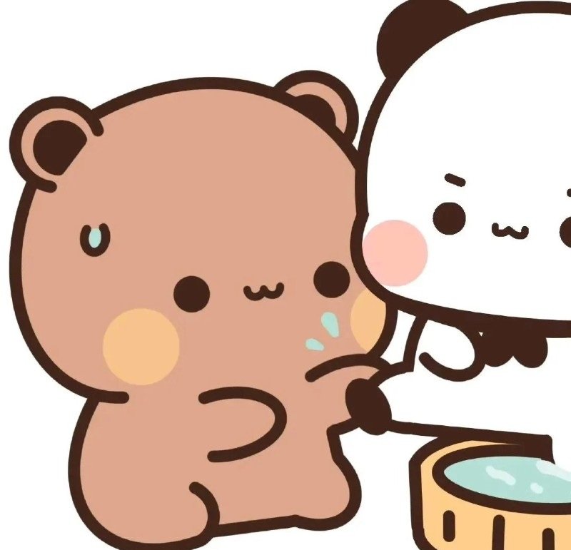 avatar gấu cute đôi 6