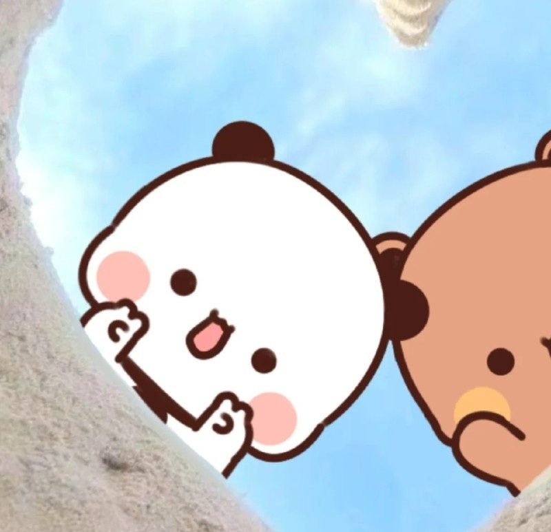 avatar gấu cute đôi 8