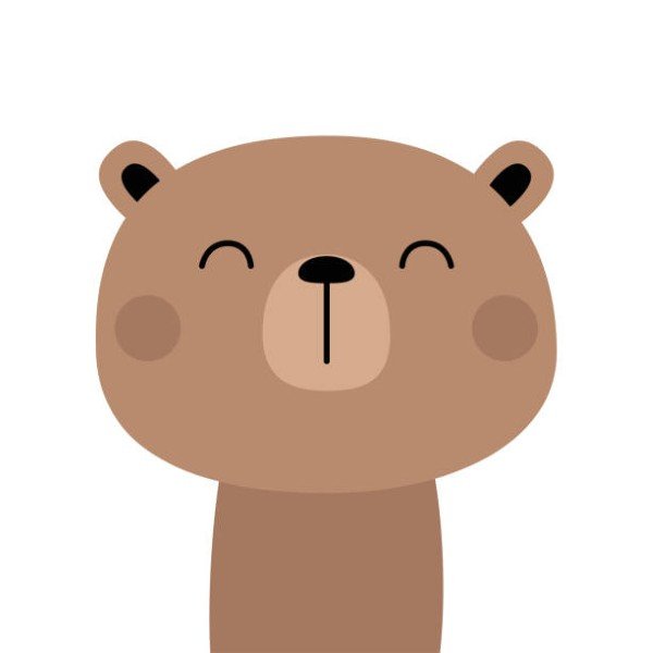 avatar gấu nâu cute 16