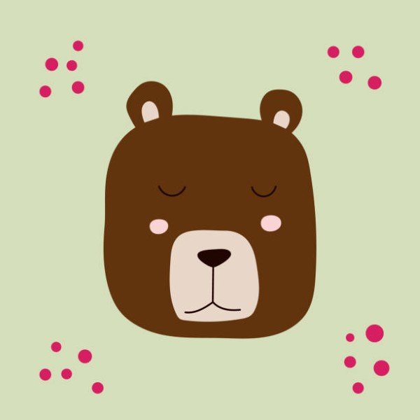 avatar gấu nâu cute 5