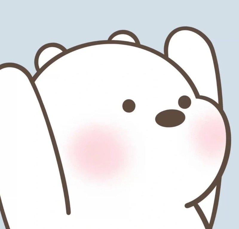 Khám phá 99+ anh avatar gấu trắng cute phiên bản đẹp nhất 2025 - Hình ảnh bài viết