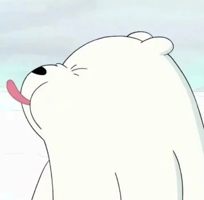avatar gấu trắng cute 17