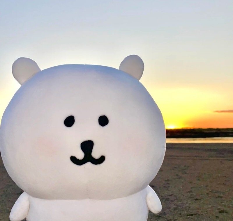 avatar gấu trắng cute 22